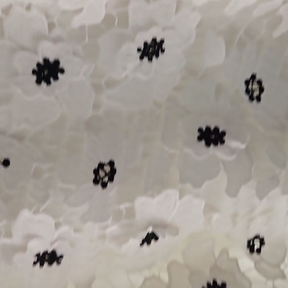 Beautiful Milly white/black lace skirt - Picture 2 of 9